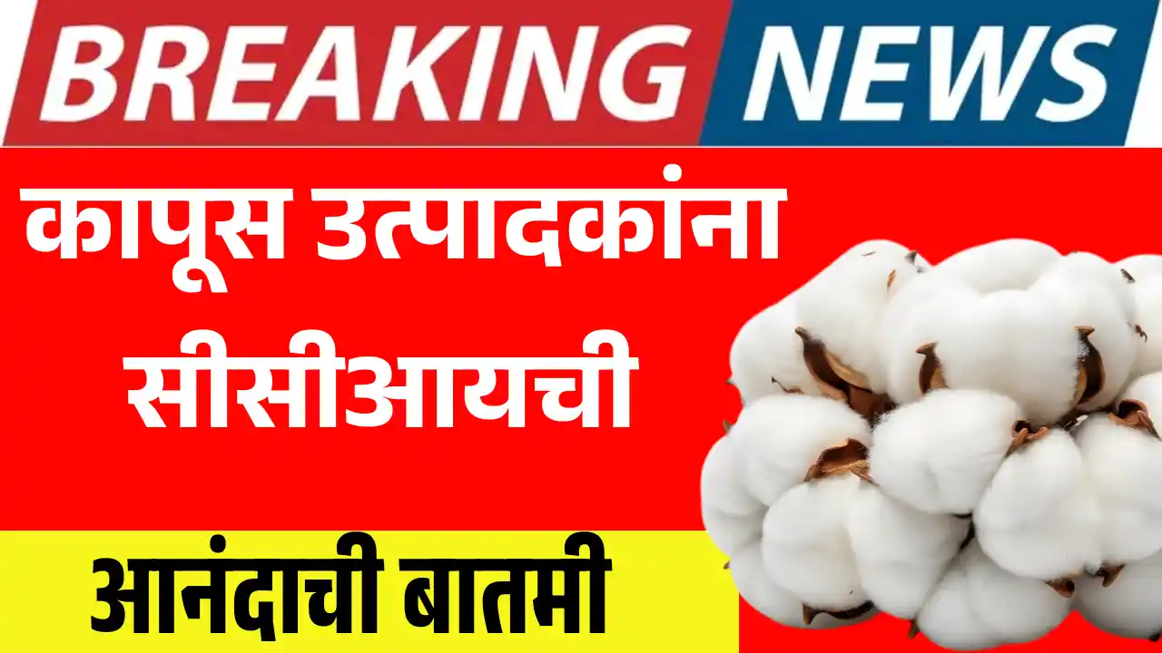 CCI cotton big news