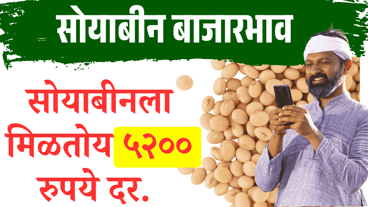soyabean rate